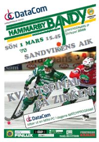 bandy_090301.jpg