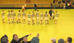 innebandy_hif-visby_080209.jpg