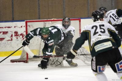 Supp_spel-no1_bajen_fans_hockey_vs_sudret_12-13_PJ.jpg